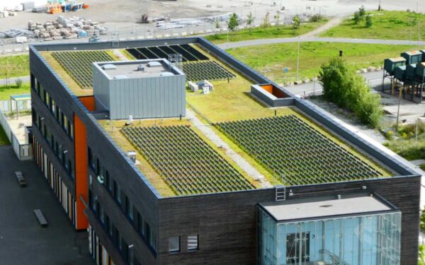 Escola Løren instala o primeiro telhado verde de Oslo com painéis solares fotovoltaicos verticais