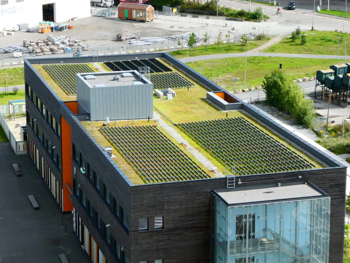 Escola Løren instala o primeiro telhado verde de Oslo com painéis solares fotovoltaicos verticais