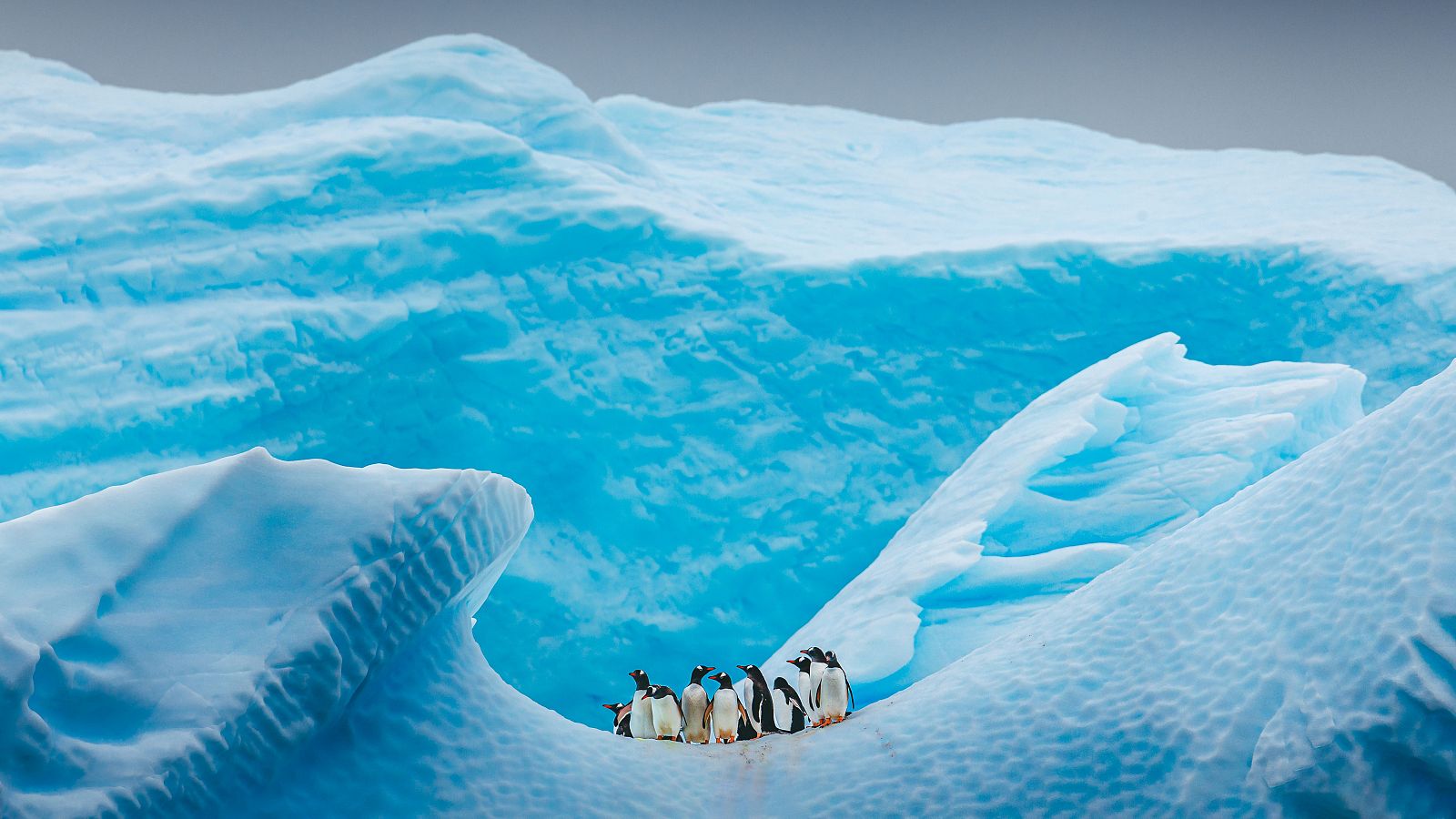 Estudo encontra microplásticos na neve da Antártida