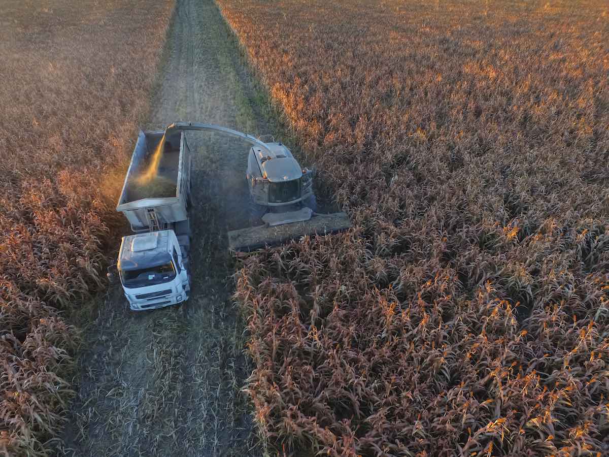 O gás 300 vezes mais potente que o CO2 do qual ninguém fala