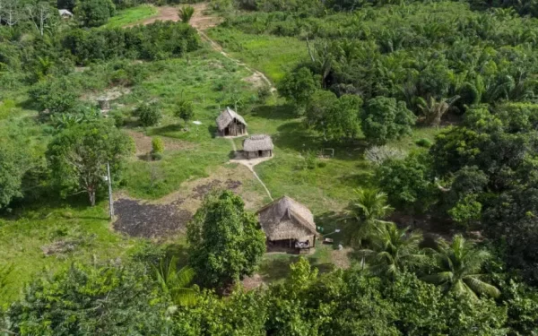 Como as comunidades indígenas preservam a biodiversidade global