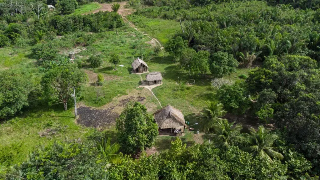 Como as comunidades indígenas preservam a biodiversidade global
