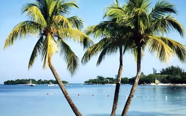 Impacto dos pesticidas no Mar do Caribe