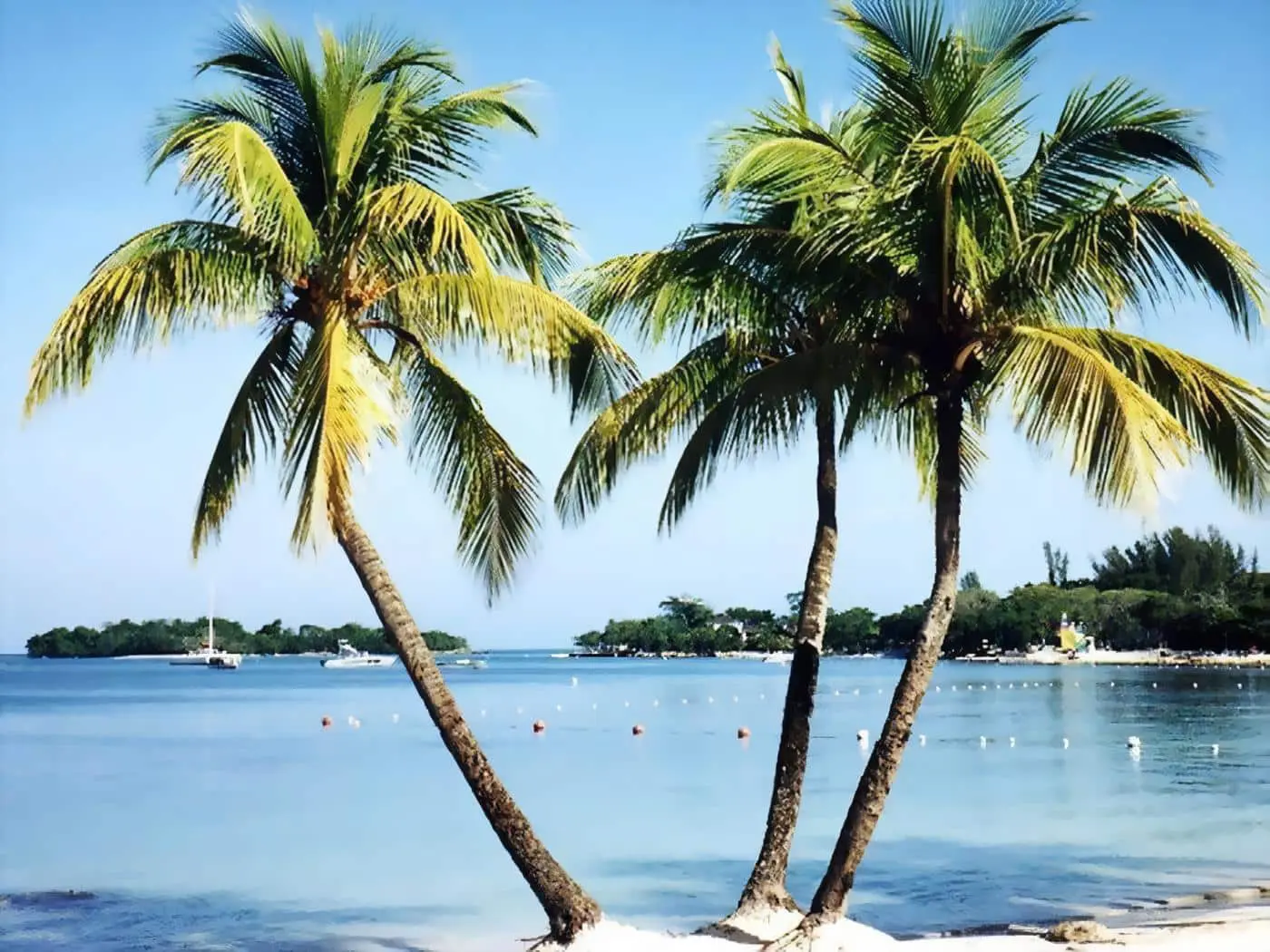 Impacto dos pesticidas no Mar do Caribe