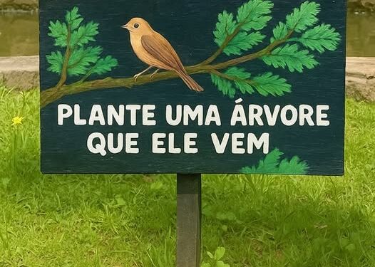 Não use gaiola…