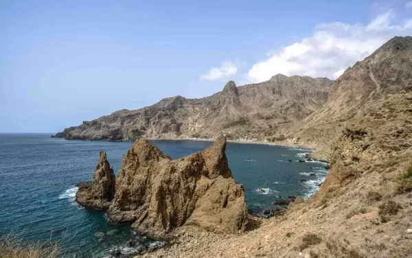 Iluminação LED instalada em Cabo Verde pode estar na origem da morte de 150 aves marinhas na ilha Brava: associação levanta suspeitas