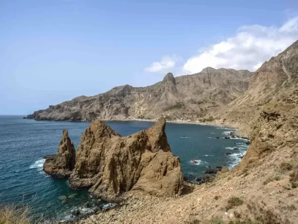 Iluminação LED instalada em Cabo Verde pode estar na origem da morte de 150 aves marinhas na ilha Brava: associação levanta suspeitas
