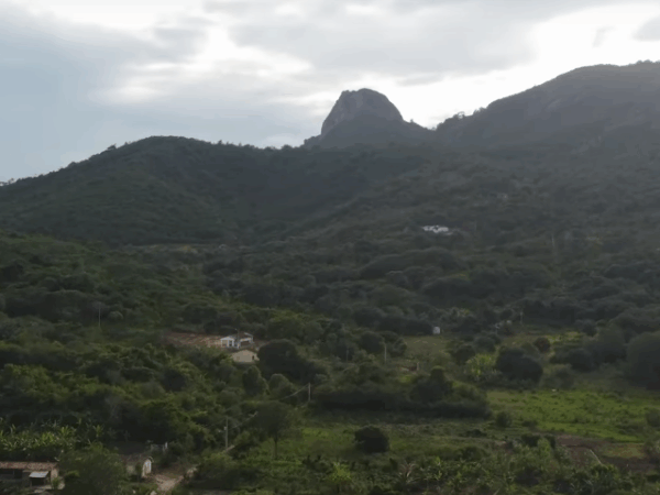 Jovens produzem documentário sobre a Mata do Bitury e destacam riqueza natural entre Brejo da Madre de Deus e Belo Jardim