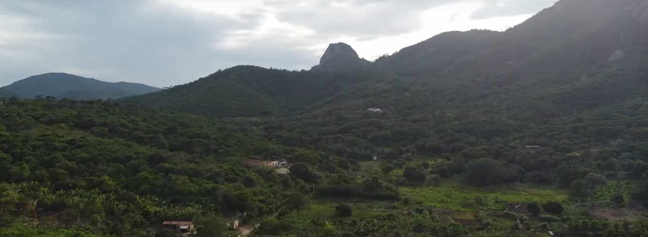 Jovens produzem documentário sobre a Mata do Bitury e destacam riqueza natural entre Brejo da Madre de Deus e Belo Jardim