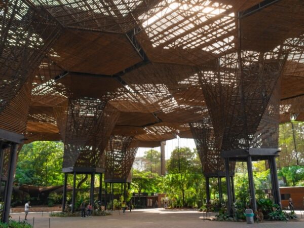 Estratégias para resfriar as cidades