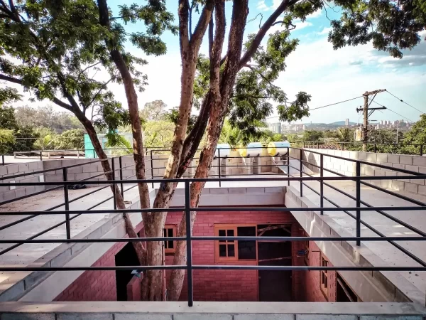 Árvore Pau-Brasil é o elemento central dessa construção comunitária