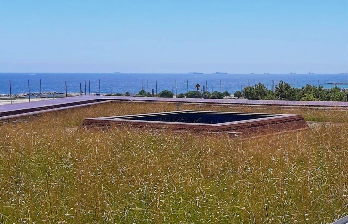 Telhados verdes contra microplásticos: estudo aponta mais uma vantagem do sistema