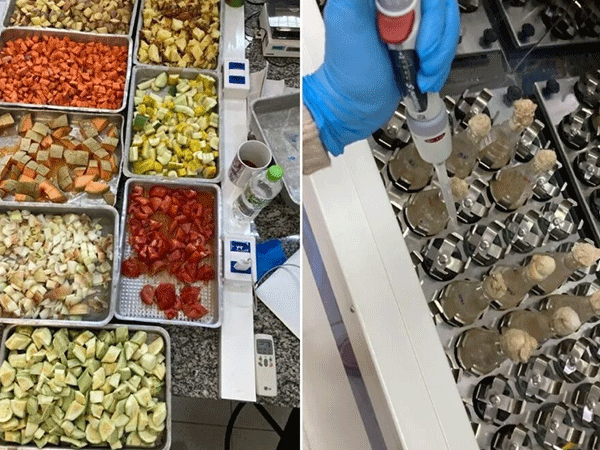 Resíduos de alimentos que viram biocombustível e ração