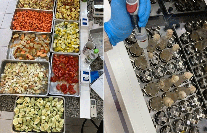 Resíduos de alimentos que viram biocombustível e ração