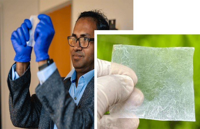 Finalmente um substituto para o plástico?