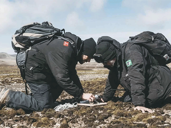Espécies de fungos são descobertas na Antártica por cientistas brasileiros