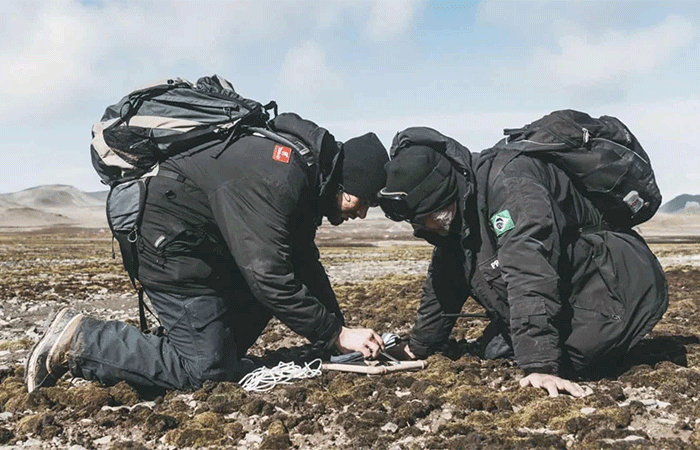 Espécies de fungos são descobertas na Antártica por cientistas brasileiros