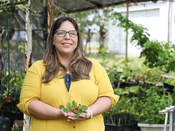 Rede de sementes e viveiros vai garantir sustentabilidade de recursos naturais
