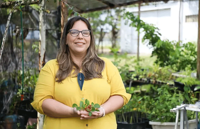 Rede de sementes e viveiros vai garantir sustentabilidade de recursos naturais