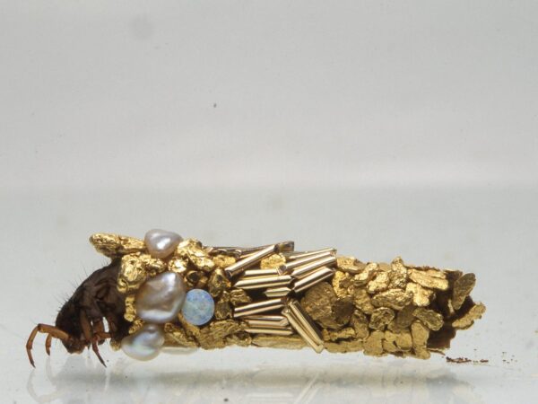 Uma casa feita de microplásticos