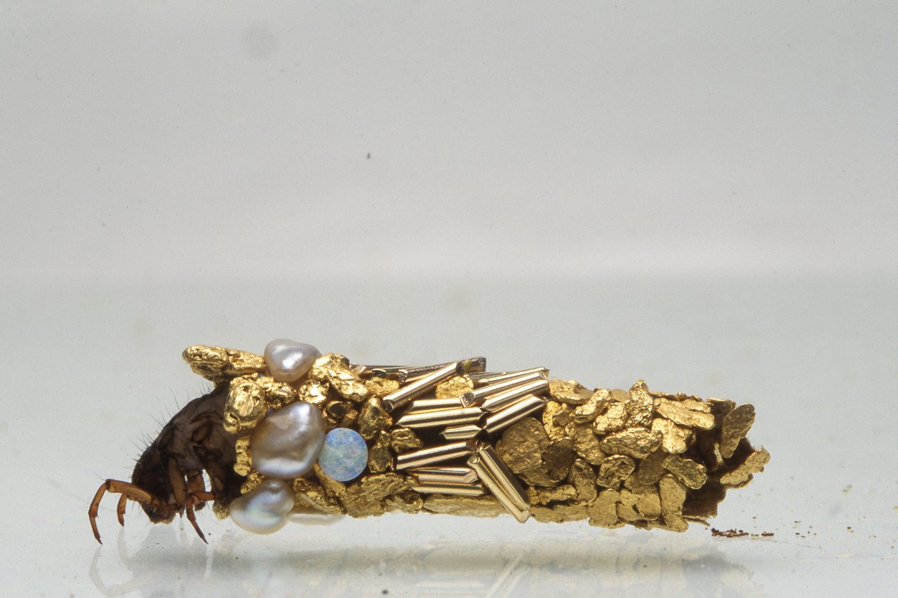 Uma casa feita de microplásticos