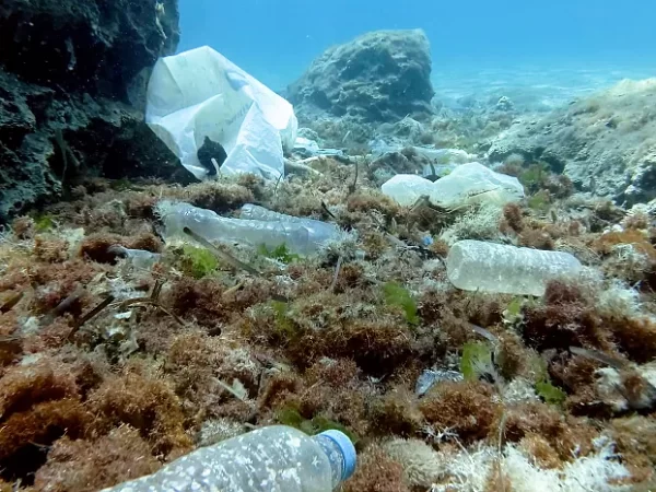 Reciclar é bom, reduzir é melhor: combater a poluição por plásticos na fonte