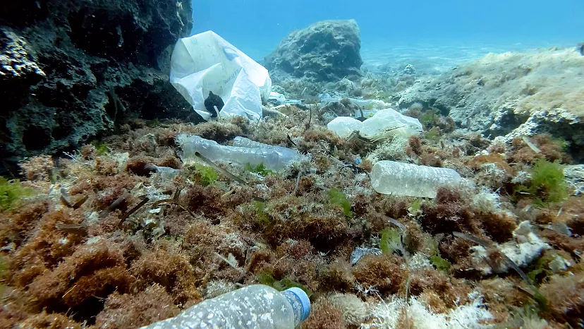 Reciclar é bom, reduzir é melhor: combater a poluição por plásticos na fonte