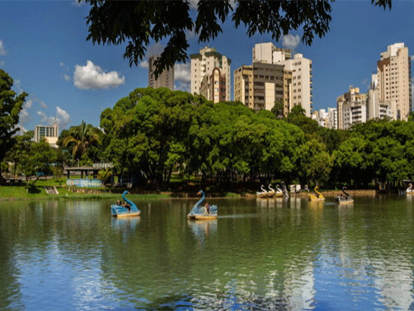 A cidade brasileira com mais de 1 milhão de árvores é eleita a cidade mais arborizada do mundo