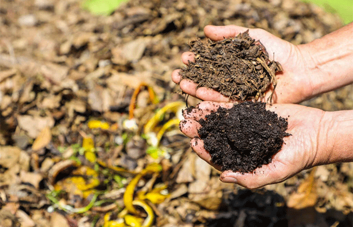 Reciclagem de alimentos ajuda a reduzir emissões