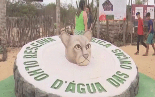 Reserva ecológica ajuda a preservar a Caatinga e promove ecoturismo na Paraíba