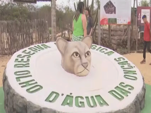 Reserva ecológica ajuda a preservar a Caatinga e promove ecoturismo na Paraíba