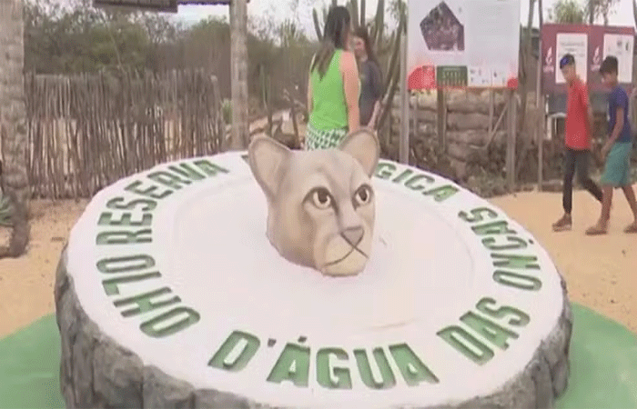 Reserva ecológica ajuda a preservar a Caatinga e promove ecoturismo na Paraíba