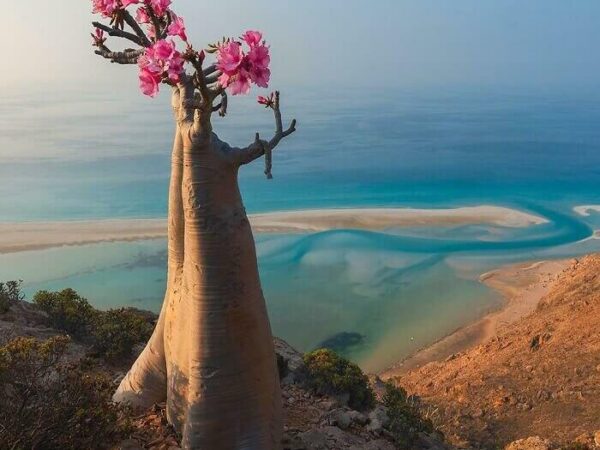 Descobertas interessantes encontradas no deserto