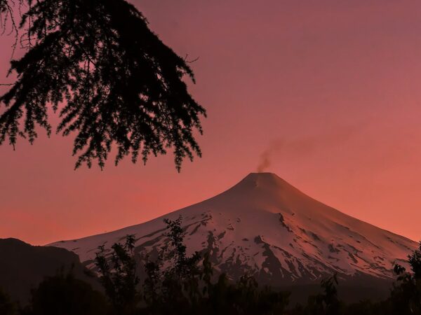 Árvores “avisam” quando um vulcão vai entrar em erupção