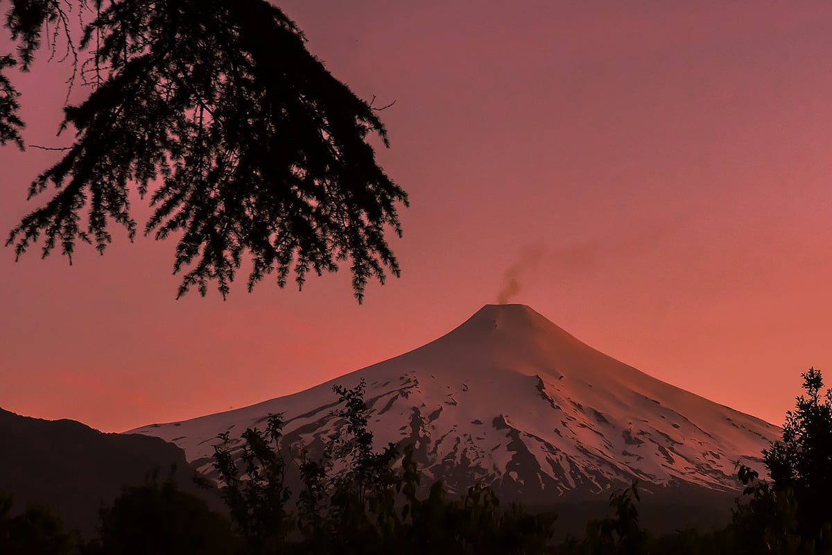 Árvores “avisam” quando um vulcão vai entrar em erupção