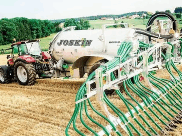 Algas cultivadas com efluentes de fábricas de laticínios reduzem utilização de fertilizantes minerais em 25%