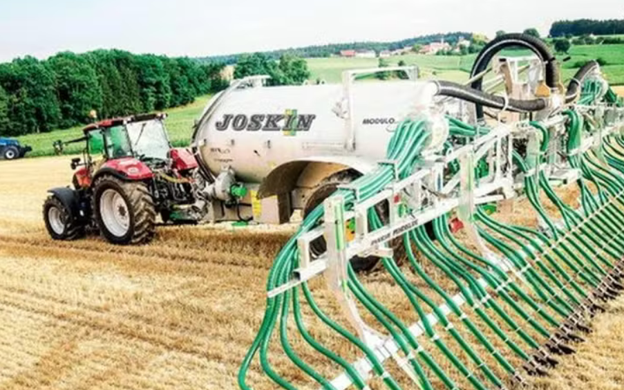 Algas cultivadas com efluentes de fábricas de laticínios reduzem utilização de fertilizantes minerais em 25%