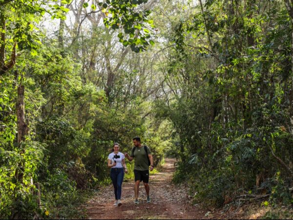 Aventura na mata: cinco trilhas para explorar nas Unidades de Conservação do Paraná