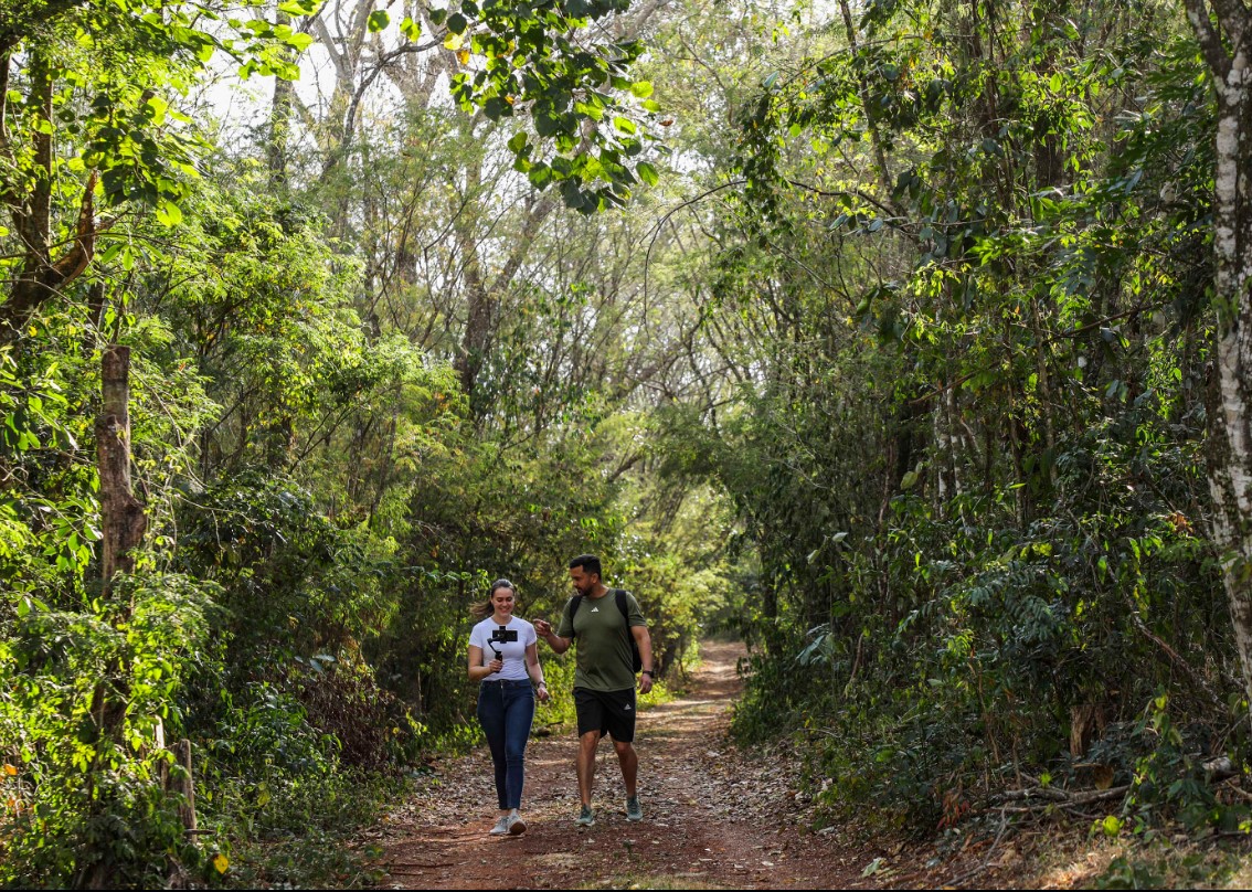 Aventura na mata: cinco trilhas para explorar nas Unidades de Conservação do Paraná