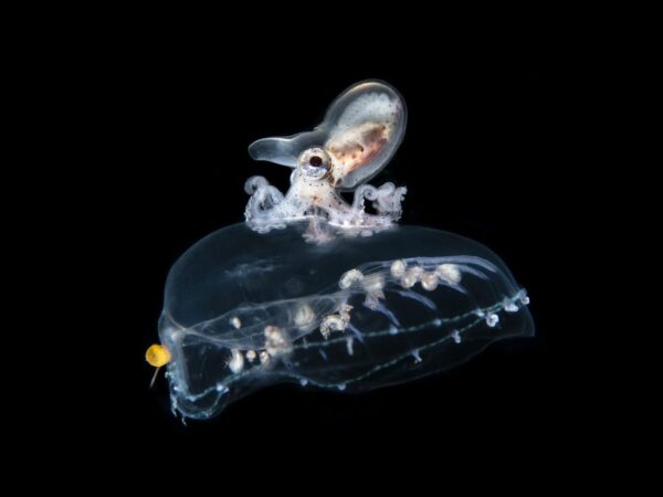 Uma relação conveniente (mas não para todos)