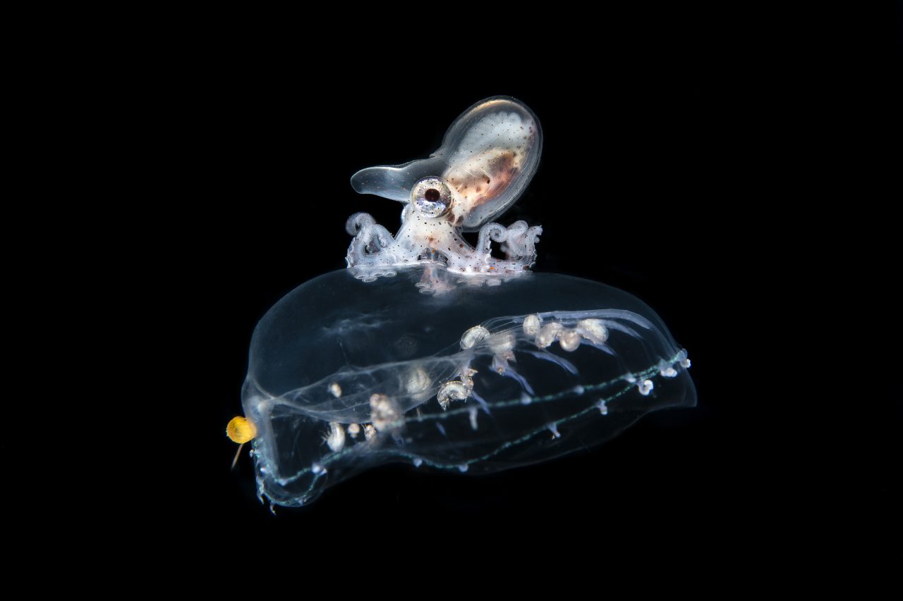 Uma relação conveniente (mas não para todos)