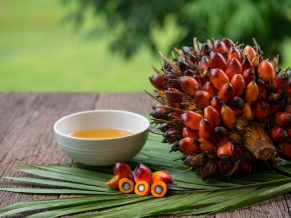 O óleo de palma é vegano?