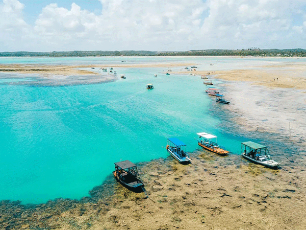 Selo Bandeira Azul: Conheça a praia mais preservada do Nordeste