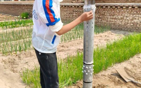 Adolescente chinês de 14 anos cria sistema de irrigação por condensação para salvar árvores em áreas atingidas pela seca.