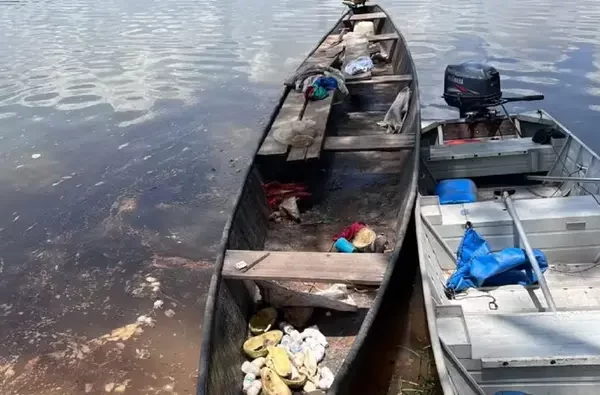 Três mil filhotes de tartaruga-da-Amazônia são resgatados pela polícia no Rio Javaés (TO)