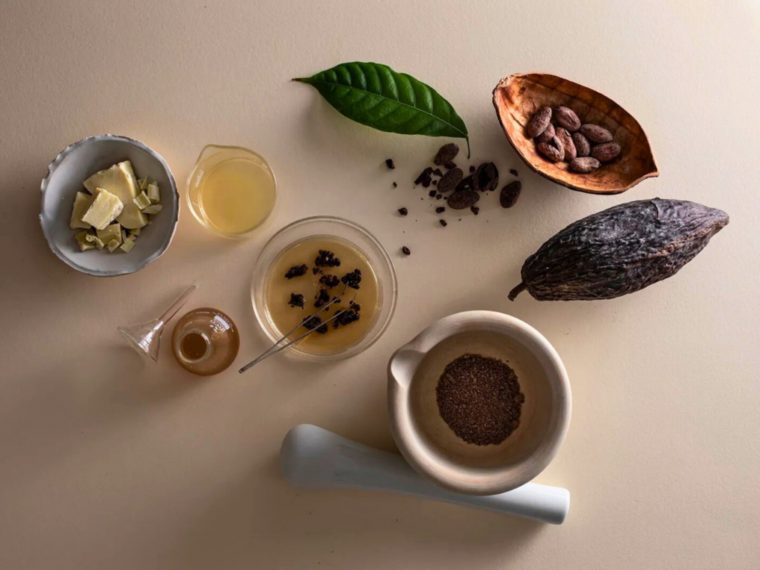 Startup apoiada pela Mondelēz apresenta manteiga de cacau cultivada em células