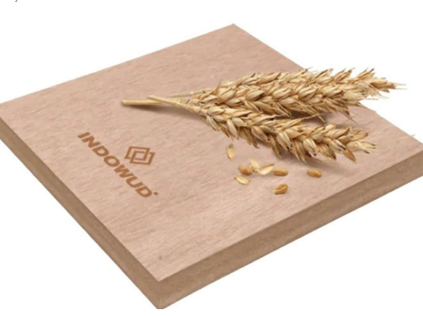 Empresa indiana leva sustentabilidade a outro nível e faz cascas de arroz virar madeira resistente à água, ao fogo, a cupins, sem formaldeído e com alta durabilidade estrutural