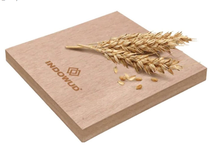 Empresa indiana leva sustentabilidade a outro nível e faz cascas de arroz virar madeira resistente à água, ao fogo, a cupins, sem formaldeído e com alta durabilidade estrutural