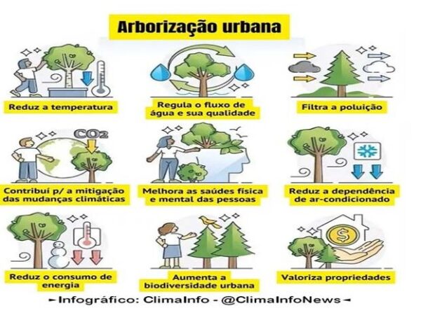 Ampliar a arborização urbana pode salvar milhões de vidas