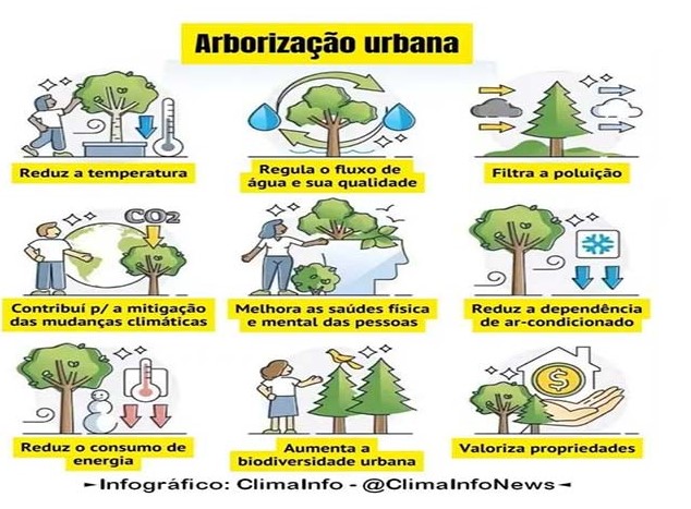 Ampliar a arborização urbana pode salvar milhões de vidas